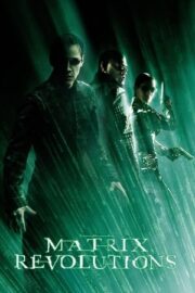 Matrix 3